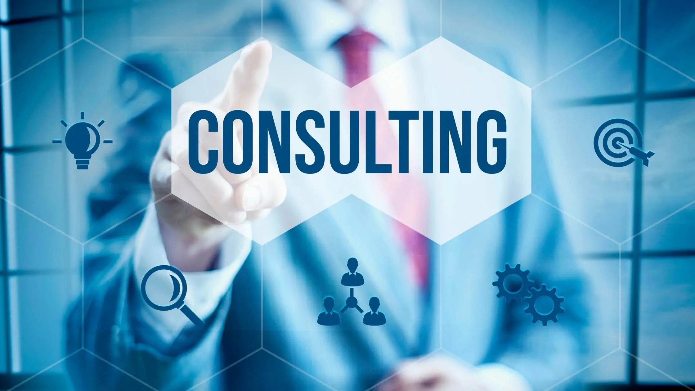 ERP Consulting Services